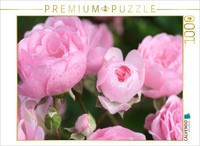 Calvendo Puzzle Rose 'The Fairy' | 1000 Teile Lege-GrößE 64 × 48 Cm Foto-Puzzle