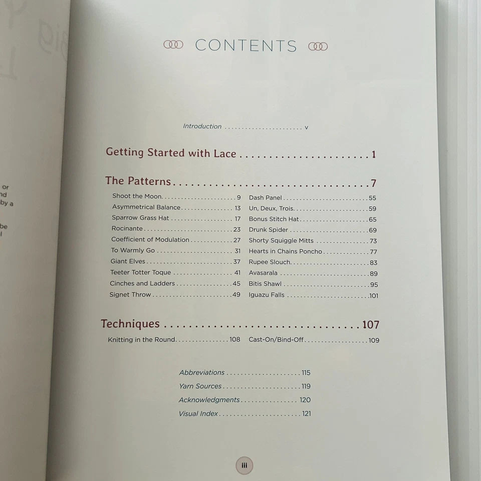 Big Yarn Beautiful Lace Knits Knitting Pattern Book 20 Fall Shawls Hats Ponchos - Image 3 of 4