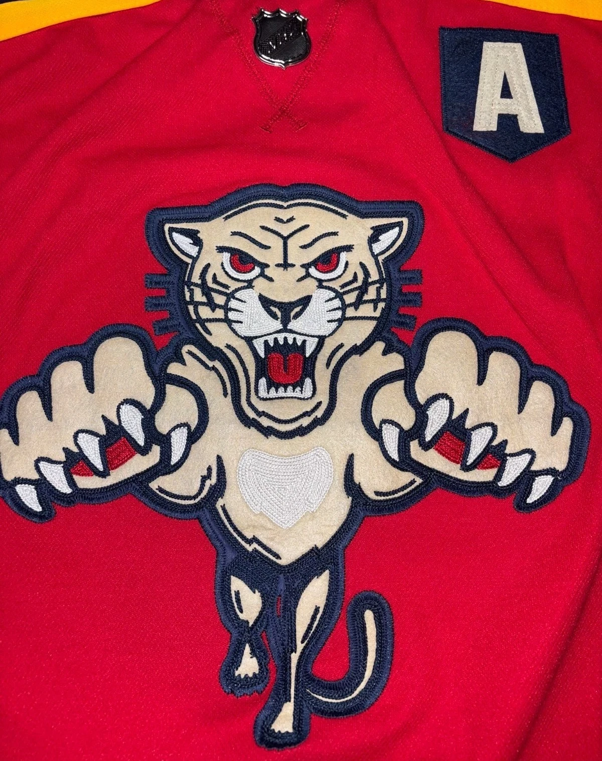 Matthew Tkachuk #19 Florida Panthers 2026 Winter Classic Jersey - Size Large 52