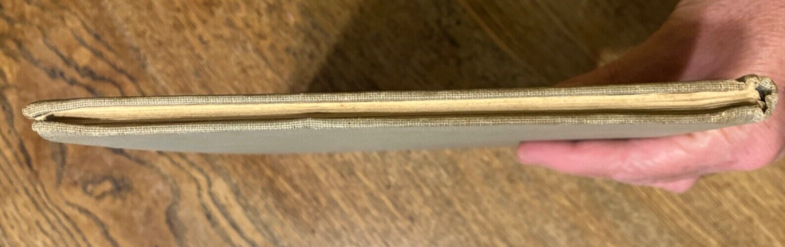 Bild 3 von 24