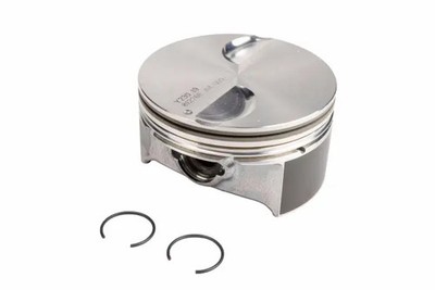 Genuine GM Engine Piston 19208471