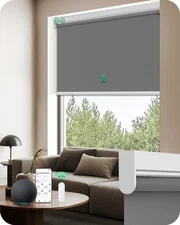 Motorized Roller Blinds with Remote Control for Windows Blackout 50" W x 72" H