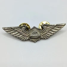 Vintage Aviator Wings Badge Pin Apollo Command Module NASA Space Moon Landing