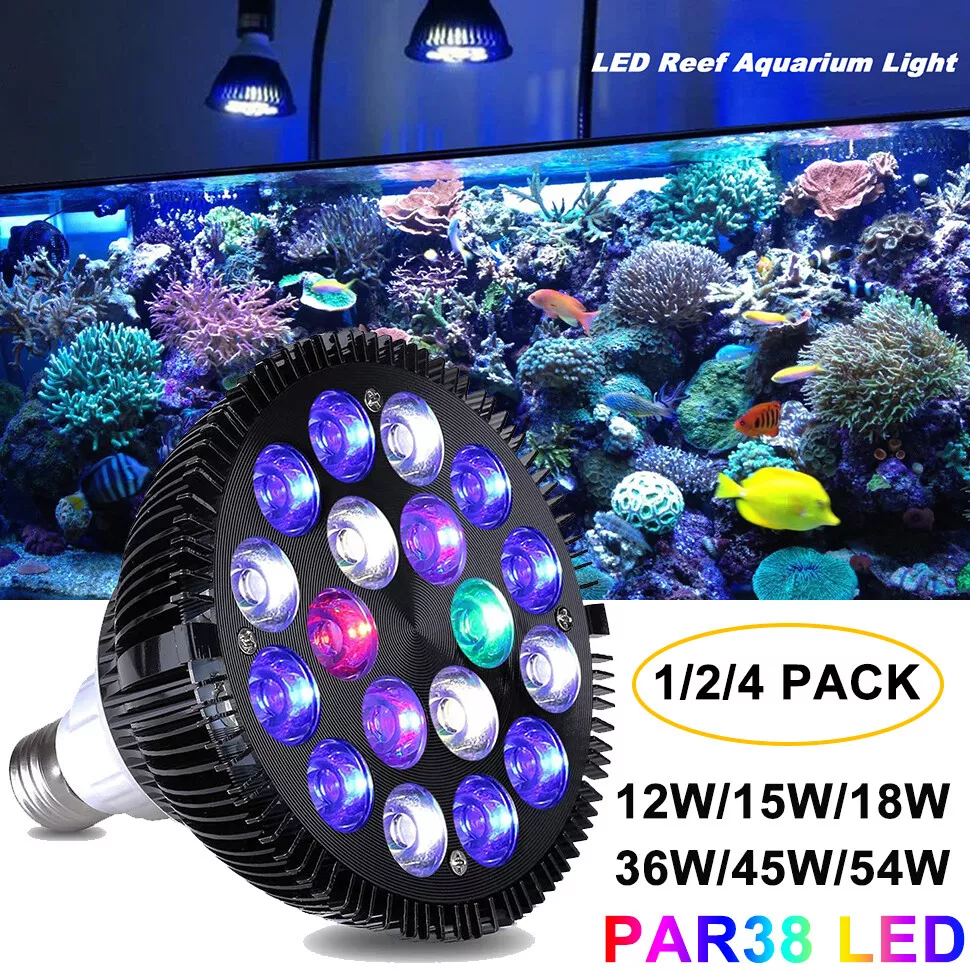 Light bulb hotsell fish tank