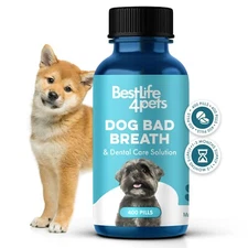 Dog Bad Breath Treatment & Dog Dental Care Solution
