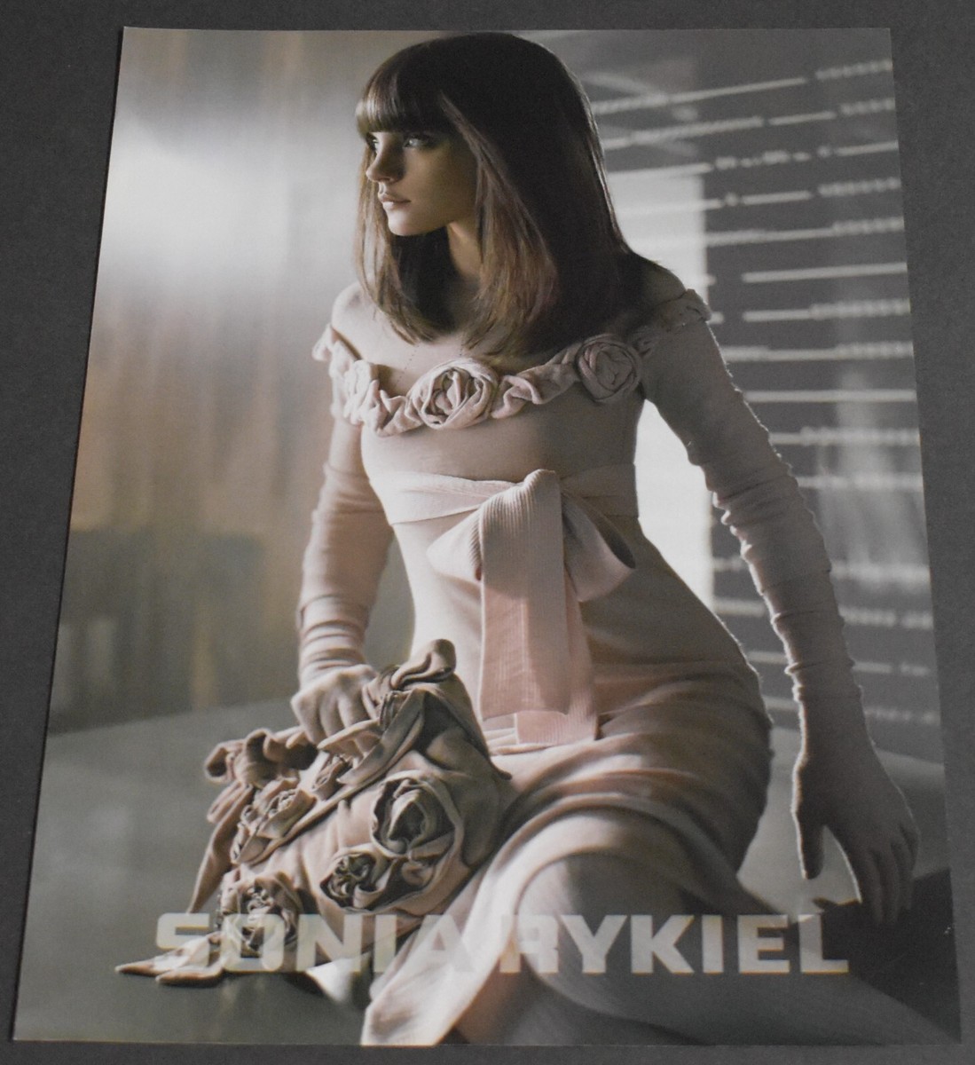 2006 Print Ad Sexy Fashion Sonia Rykiel Dress Brunette Lady Long Legs  Feminine L | eBay