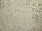 Afbeelding 6 van 24
