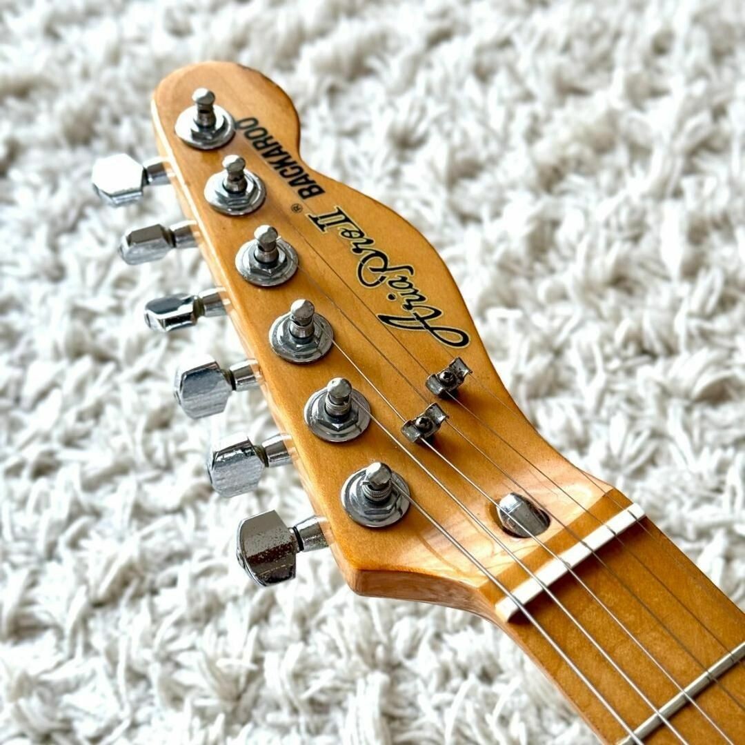 Aria Pro II BACKAROO TE-500N Thinline 1976 Made in Japan Aria Pro II BACKAROO TE-500N Thinline 1976 Made in Japan