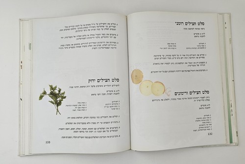Libro de cocina kosher hebreo ensaladas por Nira Rousso tapa dura Israel Food... - Imagen 9 de 22