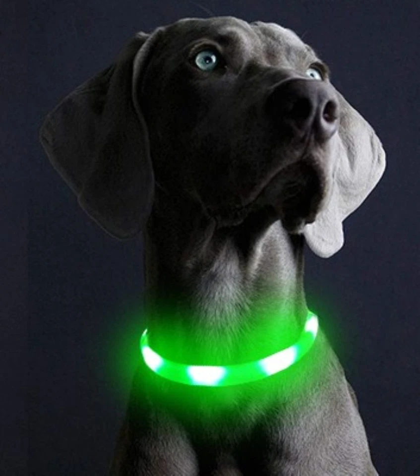 ILLES-LAEDCHEN LED Leuchtring Hunde Halsband wasserdicht wiederaufladbar Akku SEHR HOCHWERTIG