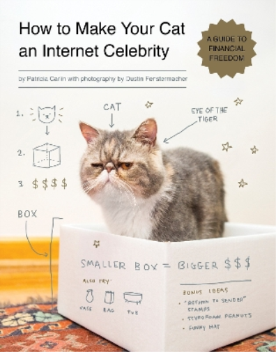 Patricia Carlin How to Make Your Cat an Internet Celebrity (Tascabile)