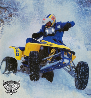 SUZUKI LT500R QUADRACER 500 QUADZILLA HEAD STAY, UPPER MOTOR