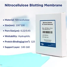 NC Blotting Membrane 0.45μm/0.22μm 10x10cm for Western Blotting&Protein Transfer
