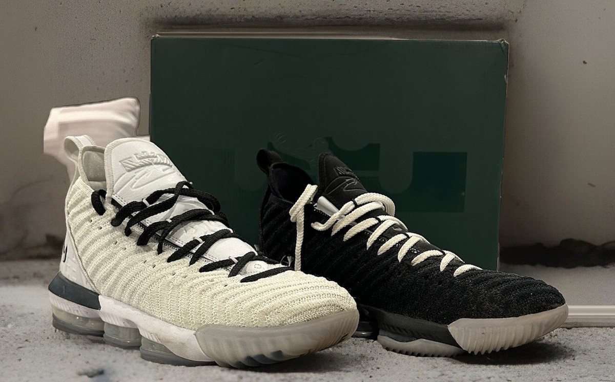 希少!NIKE LEBRON 16 EQUALITY レブロン 白黒 Size 11 - Nike LeBron 16 Equality - White Black | eBay