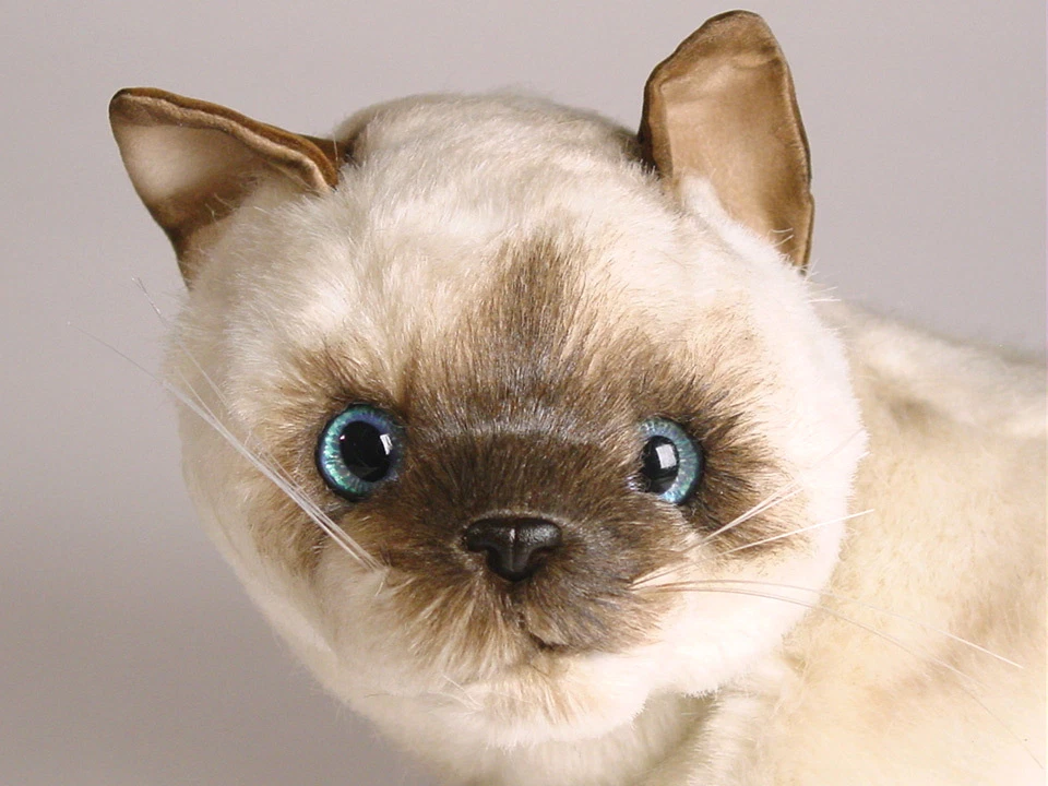 Seal Point Siamese Cat by Piutre Hand Made in Italy Plush