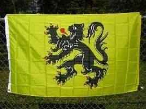 Flag of Flanders 3x5 ft Lion Rampant Yellow Belgium Flemish Region Vlaamse Leeuw - Picture 1 of 1