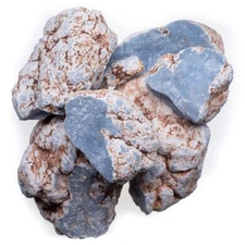 Angelite - Top Grade Rough Rocks for Tumbling - Wholesale Stones Crystal (Peru)