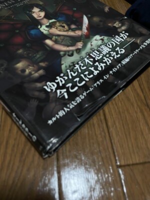 The Art of Alice Madness Returns Illustrations Art Book From Japan