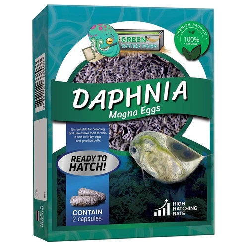 GreenWaterFarm Daphnia Magna Eggs Live Fish Food for Hatching and Culture Sui