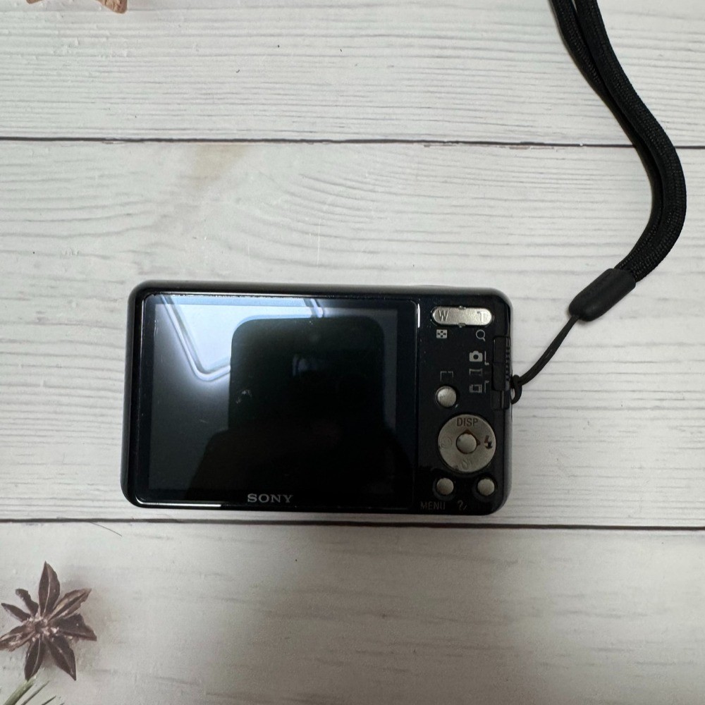 SONY Cyber-shot DSC-W570 Digital Camera 16.1 MP 5x Optical Zoom