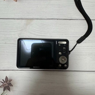 SONY Cyber-shot DSC-W570 Digital Camera 16.1 MP 5x Optical Zoom