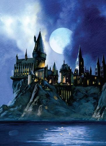 Harry Potter: Hogwarts Pop-Up Card by  Insight Editions - 9781682984772