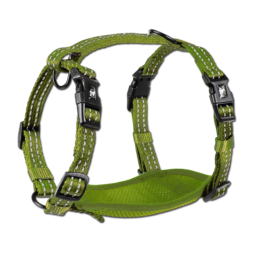 Harness