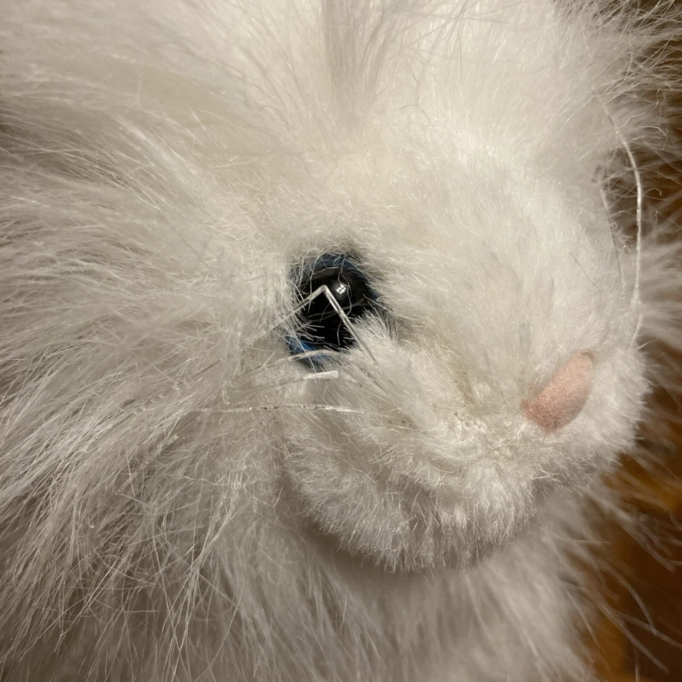 Ganz Webkinz Persian White Cat Kitty 8" Plush Stuffed Animal Blue Eyes No Code S - Image 4 of 4