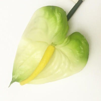 Realistic 21'' GREEN White Anthurium Stem Flower Floral Tropical Artificial Fake