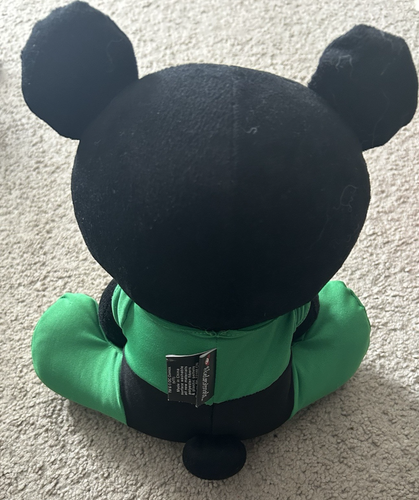 Skelanimals Bear Green Lantern Bear Plush Stuff Animal 10" Tall - Picture 3 of 4
