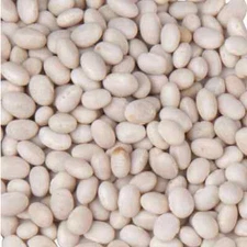 Bulk Dried Beans (select flavor/size below)