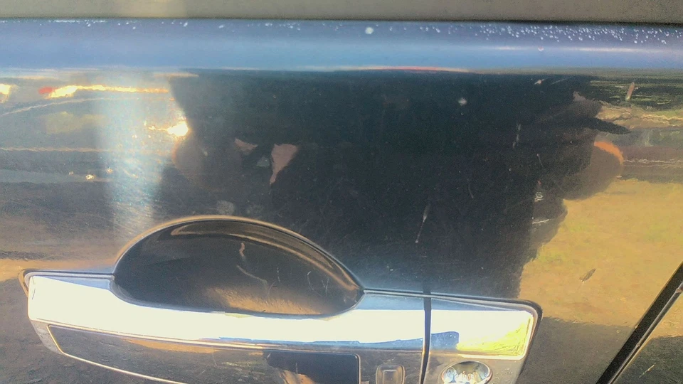 08 NISSAN ARMADA Front Door Drivers Side (No Shipping) Foto 3 de 4