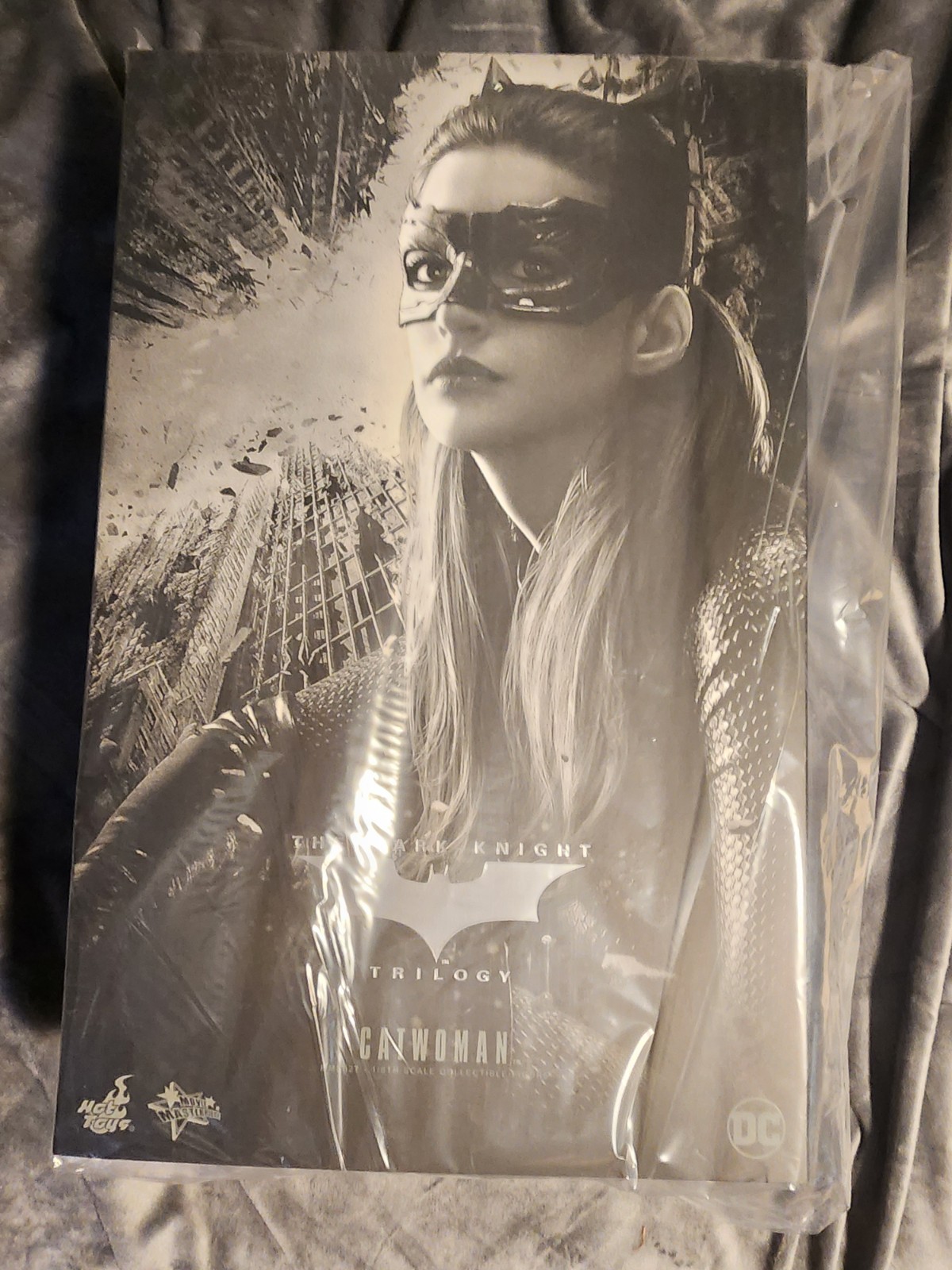 Hot Toys Catwoman 1:6 Action Figure The Dark Knight Rises Movie Licensed