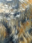 Bild 6 von 9