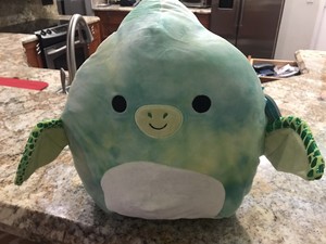 25+ Squishmallow 2021 Summer PNG