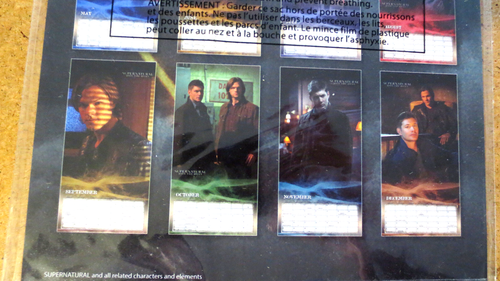 Supernatural Calendar 2016 - Sam Dean Castiel Crowley - Jensen Ackles - NEW - Picture 4 of 6