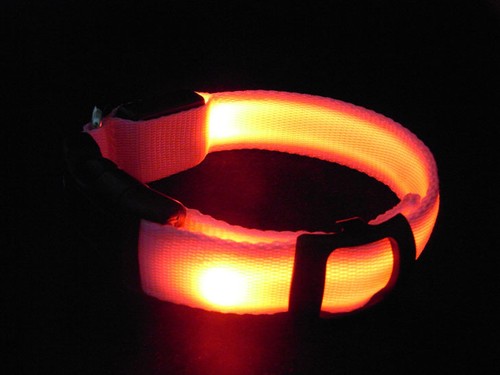 LED Glow Collar Dog Puppy Pet Flashing Light Safety Glow In The Dark FAST POST - Picture 42 of 81