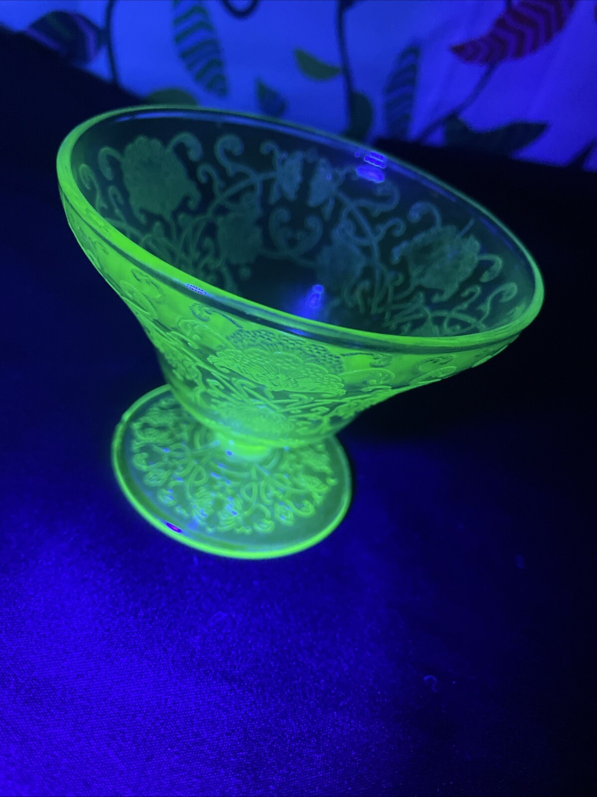 Picture 4 of 5