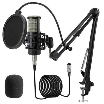 ALABS XLR Condenser Microphone, Professional Cardioid AC22-1, Silver 
