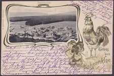 Ansichtskarte Gruss aus Hahnenklee 1903 nach ...