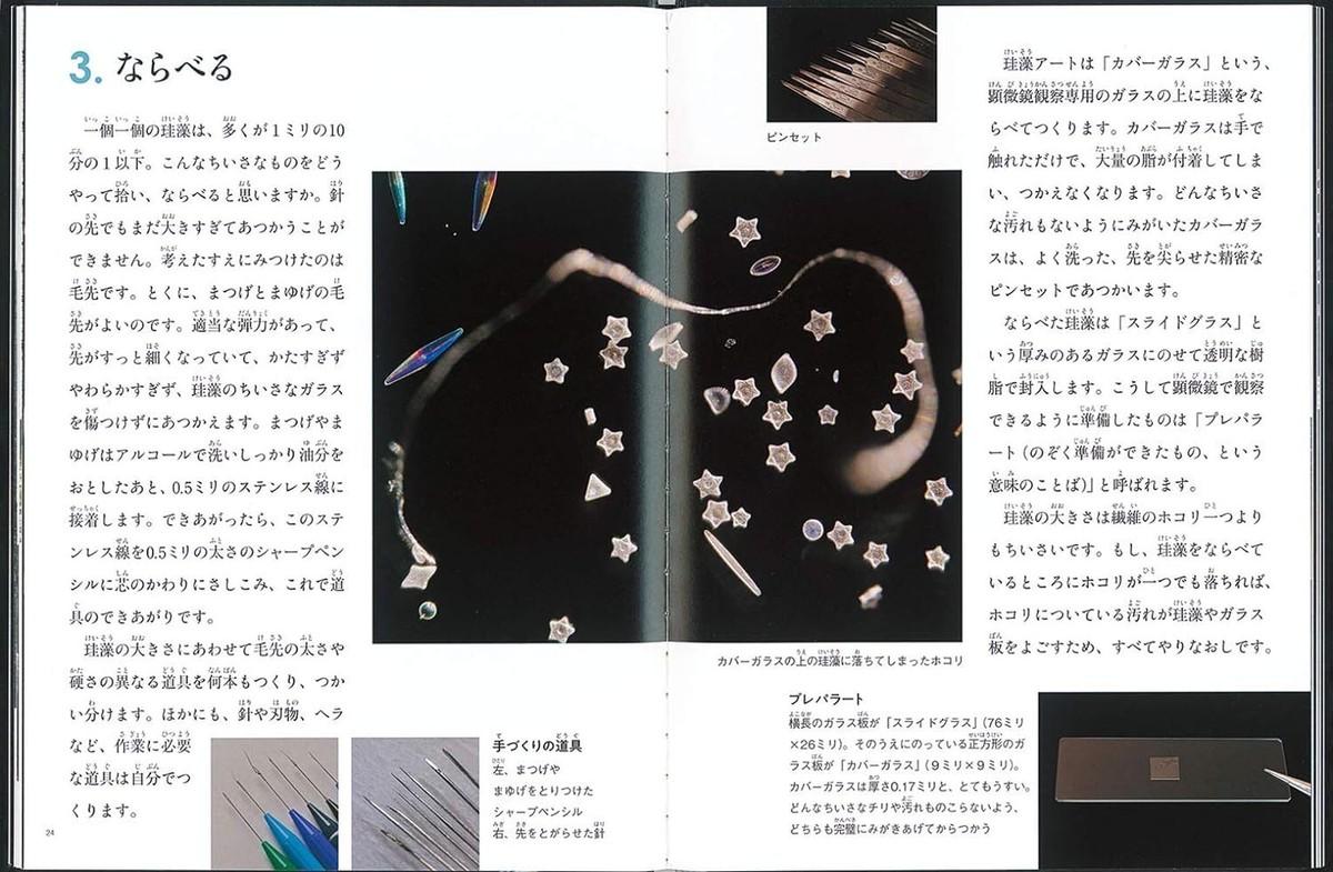 珪藻美術館 = Diatoms Art Museum 珪藻美術館 Diatoms Art Museum | 奥修 |本 | 通販 | Amazon
