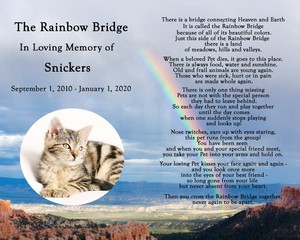 personalized rainbow bridge pet loss memorial poem dog cat 8x10 print