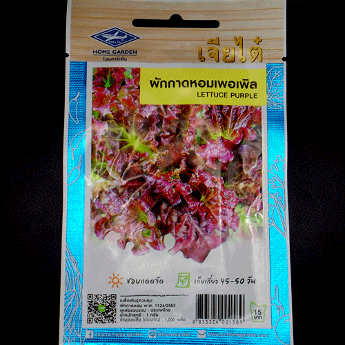 LETTUCE PURPLE 200 seed - Picture 1 of 10