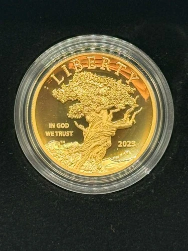 2023-W 1 Oz $100 American Liberty High Relief Gold Coin w/Orignial Box and COA