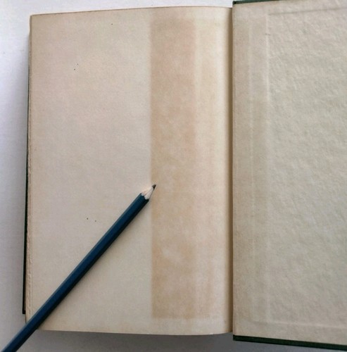 MARY ANN By Daphne Du Maurier - Hardcover Dust Jacket  1954 - Picture 18 of 18