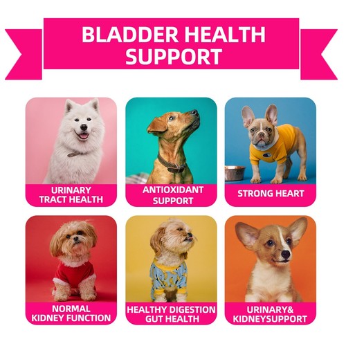 Angel Paws Health Supplements for Pet Dogs New 120PCS for All Breeds Chews - Picture 75 of 77