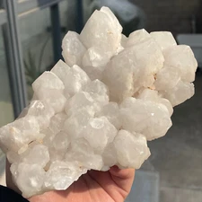 2.76lb Natural White Pineapple Quartz Crystal Crystallodont Specimen