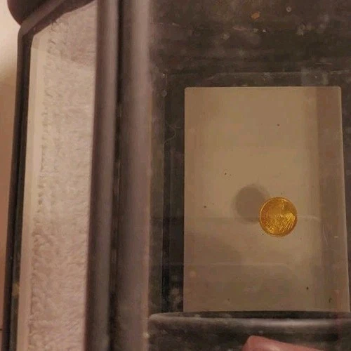 1900s $1 Gold Liberty Princess One Dollar Coin🪰Extremely Rare Gold Coin America