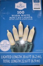 Holiday Time 100 counts Warm White LED Mini Lights Green Wire 21 FT Long