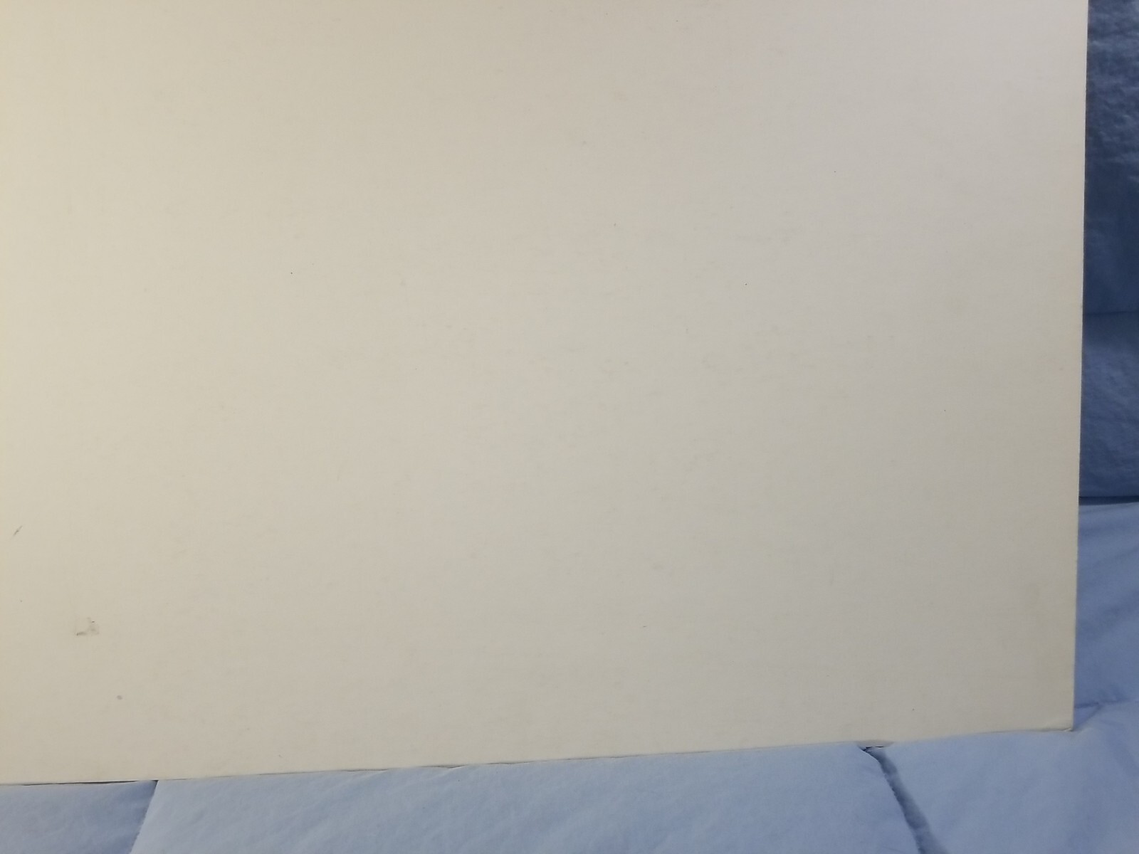 Picture 12 of 13